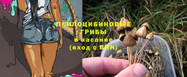 меф Белокуриха